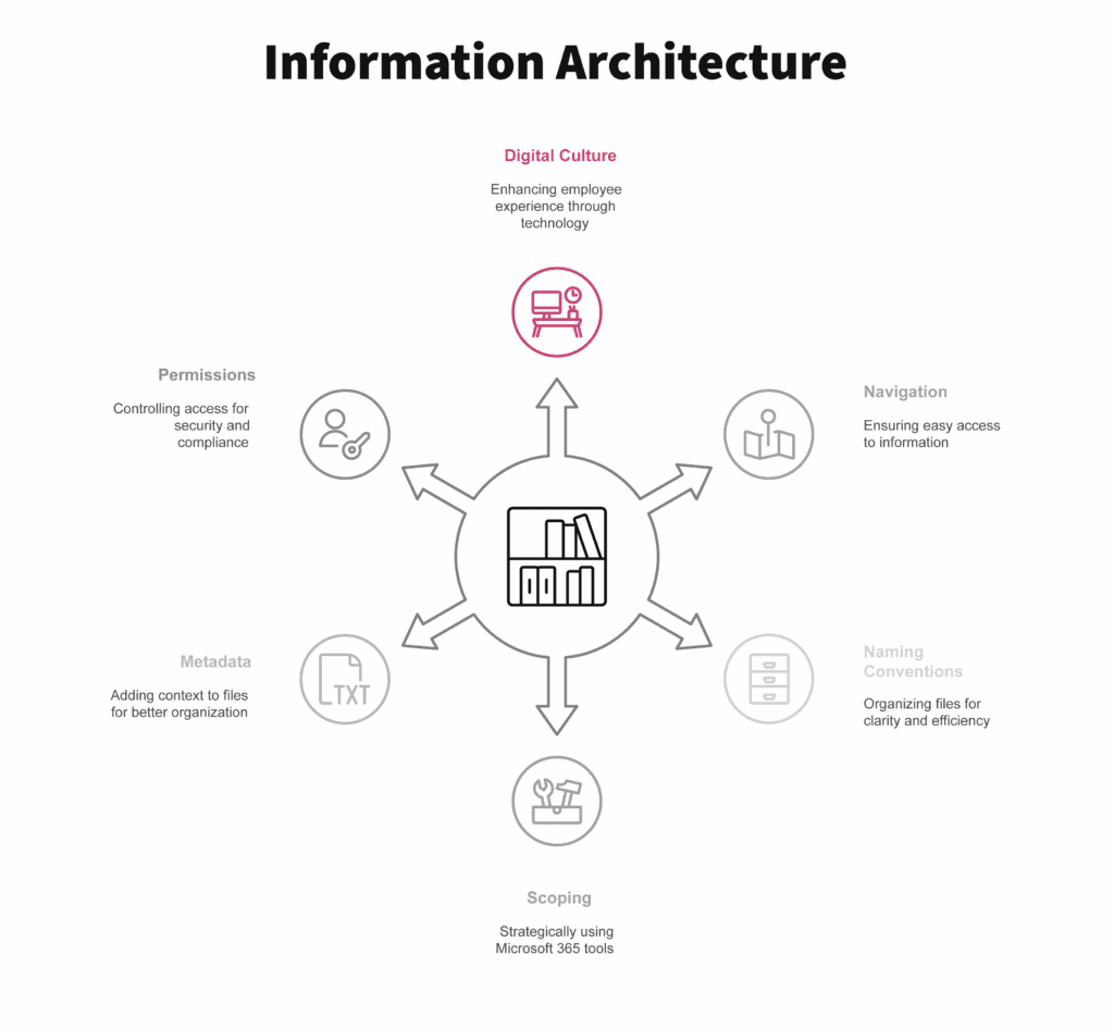 Information Architecture series, featuring Digital Culture