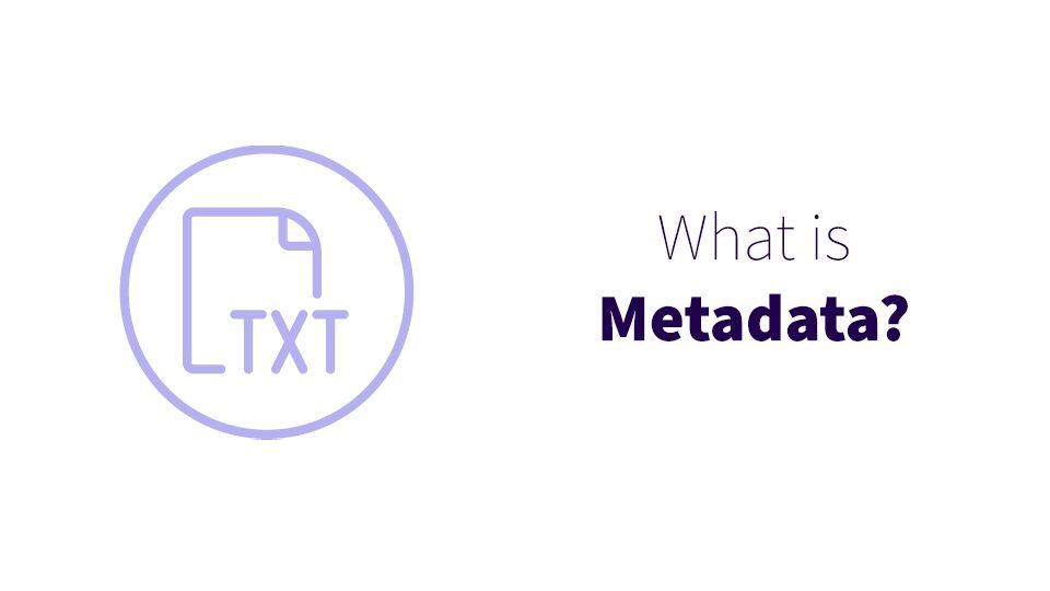 Information architecture header: what is metadata?